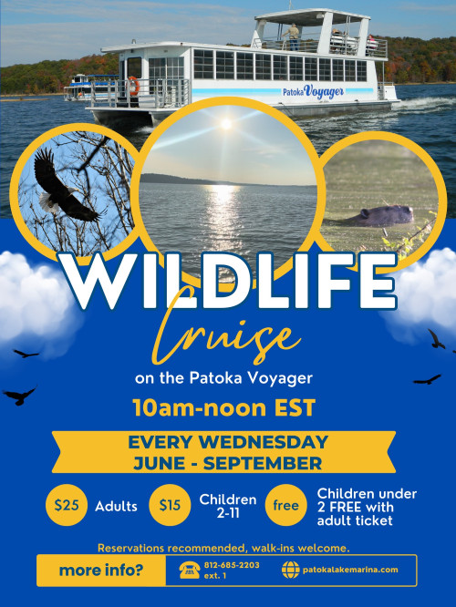 Wildlife Cruise