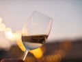 wineglass1