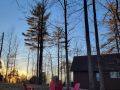 frenchlickcabins instagram 3850 ig