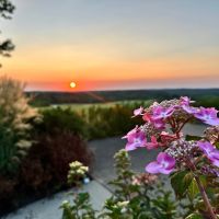 frenchlickgolf instagram 3850 ig