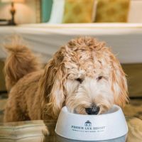 frenchlickresort instagram 3850 ig