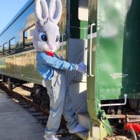 frenchlickscenicrailway instagram 3850 ig