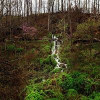 frenchlickscenicrailway instagram 3850 ig