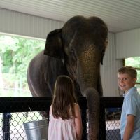 wilstem instagram 3850 ig