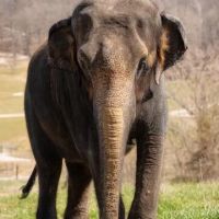 wilstem instagram 3850 ig